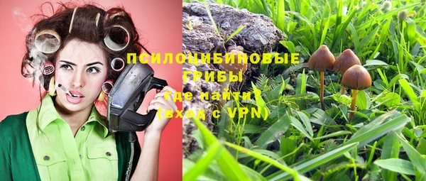 тгк Коряжма