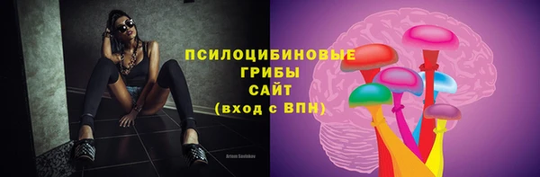круглые Корсаков