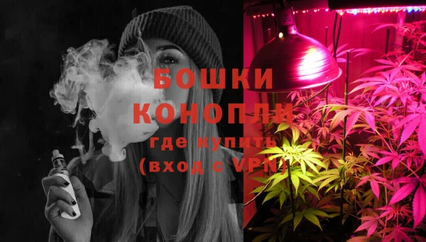 тгк Коряжма