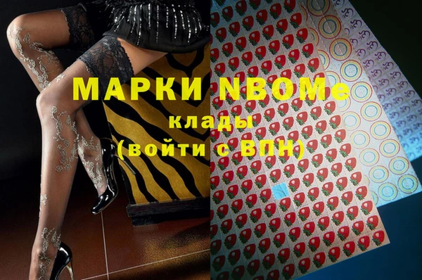 тгк Коряжма