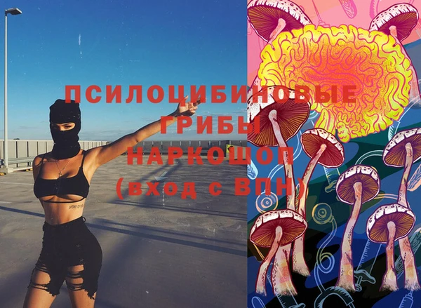 тгк Коряжма