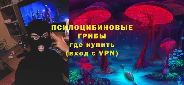 тгк Коряжма